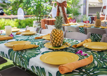 rah_luaucabana_02_353x253
